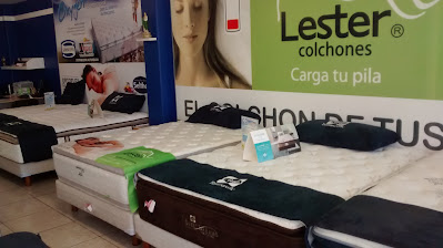 Aravi Hermanos en Cd. Obregón