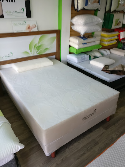 Bio Mattress Division del Norte en Benito Juárez