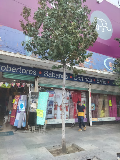 Elefantito Hogar en Cuauhtémoc