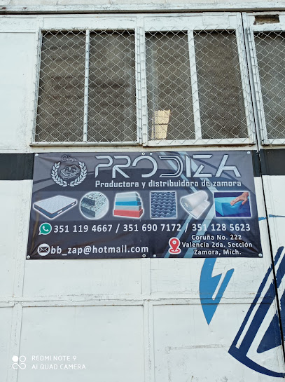 Prodiza en Zamora