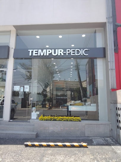 Tiendas Tempur Flagship – Altavista en Álvaro Obregón