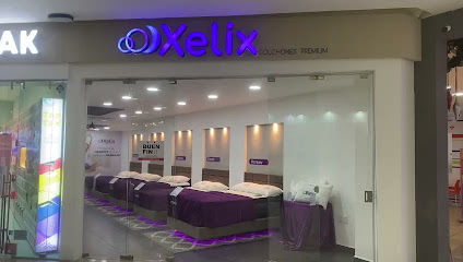 Xelix Veracruz en Veracruz