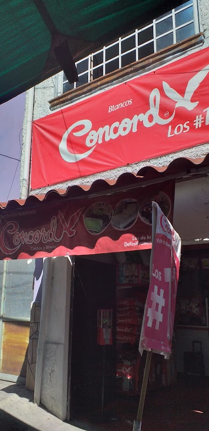 Blancos Concord Los#1 en Gustavo A. Madero