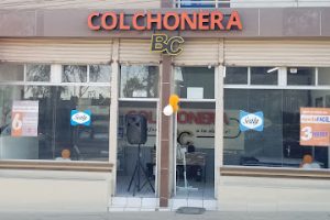 Colchonera Bc en Tijuana