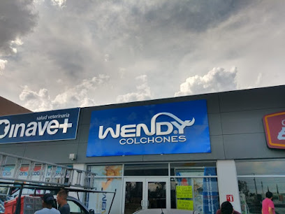 Colchones Wendy Norte en Aguascalientes