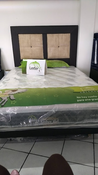 Dormilunas Coyoacan en Coyoacán