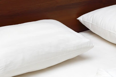 Dreamfix en Coyoacán