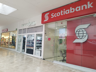 Memory Foam San Jeronimo en Álvaro Obregón