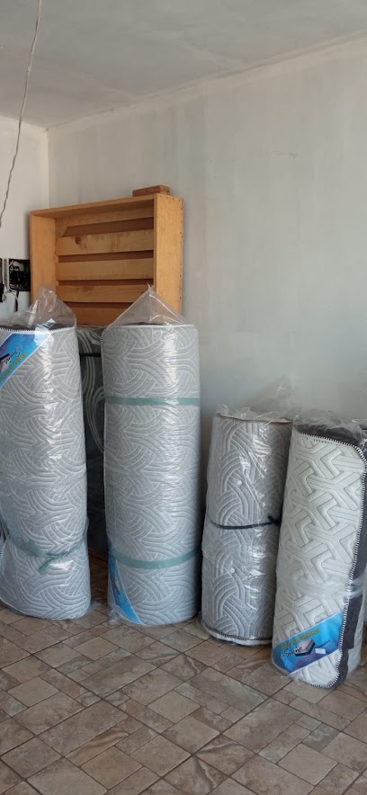 Risueño Dominguez en Aguascalientes