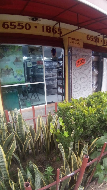 Venta de Colchones en Coyoacán