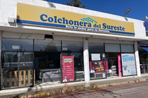 Colchonera del Sureste (Reserva Territorial Atlixcáyotl) en Puebla