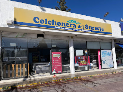 Colchonera del Sureste (Reserva Territorial Atlixcáyotl) en Puebla