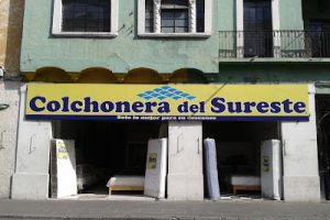 Colchonera del Sureste (San Pablo de los Frailes) en Puebla