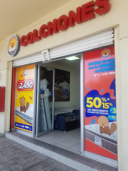 Colchones El Hogar del Castor Punto Oriente en Guadalajara