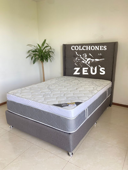 Colchones Zeus en Zapopan