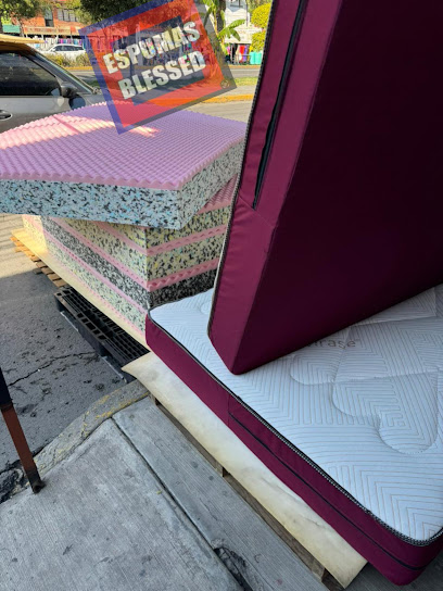 Espumas Blessed Romero Rubio en Venustiano Carranza