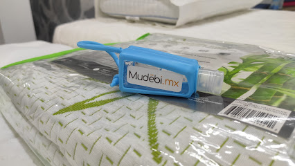 Mudebi en Venustiano Carranza