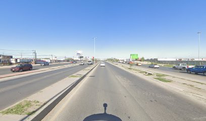 Smart Bamboo - Paseo Almarana en Torreón