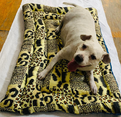 Textil Leo (Colchónetas, Colchónetas Mascota, Almohadas, Ropa de Cama) en Zapopan