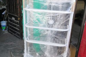 Colchonera Liz en San Luis Potosí