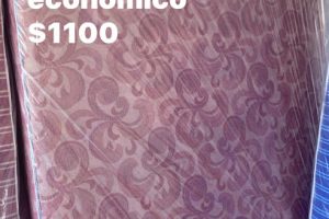 Colchonera Myd en Hermosillo