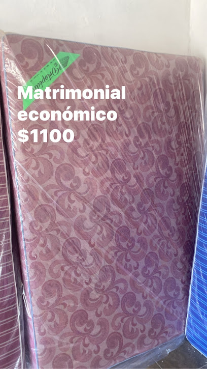 Colchonera Myd en Hermosillo